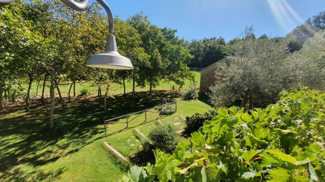 Al Noceto Countryside Bed & Breakfast Busso Dış mekan fotoğraf